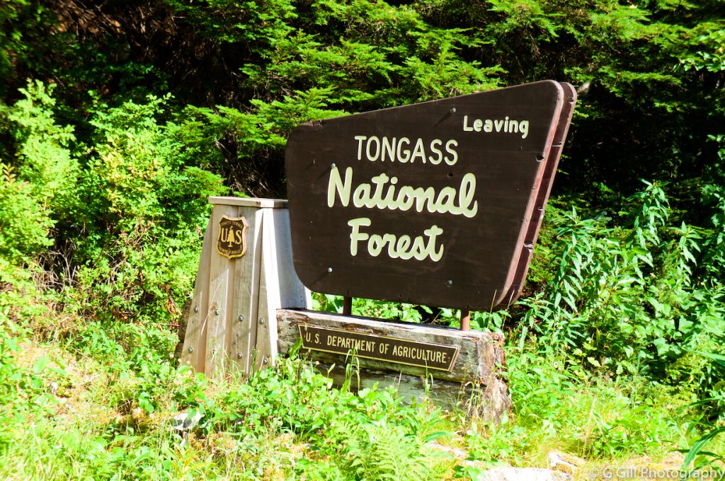 Tongass National forest