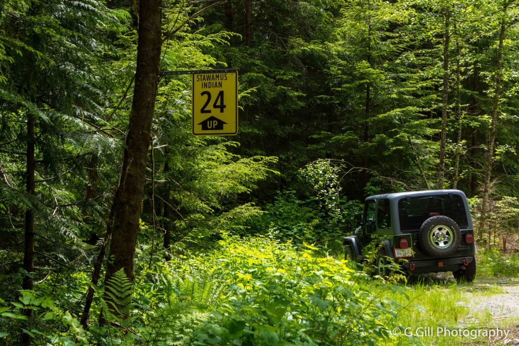 Indian River FSR The Joy of Exploring Backroads of British Columbia