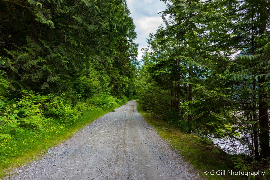 Indian River FSR The Joy of Exploring Backroads of British Columbia